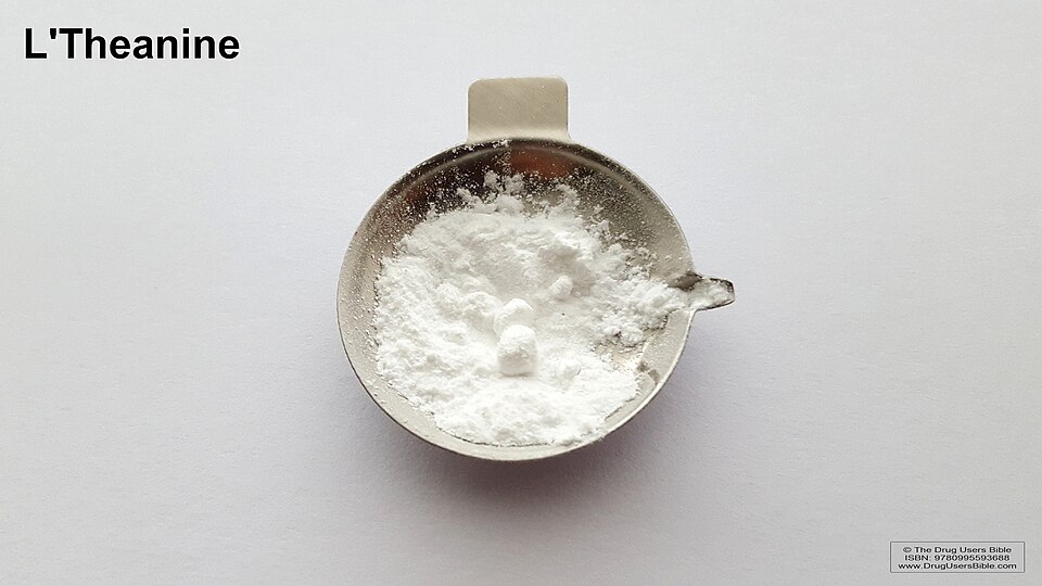 A photographed sample of L-theanine powder in a small metal dish.