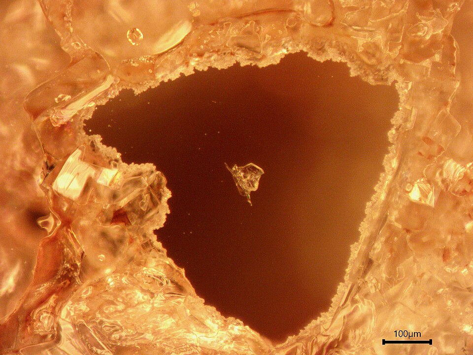 Microscope photograph of pyridoxine hydrochloride crystals at 100 times magnification.